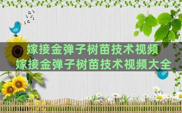 嫁接金弹子树苗技术视频 嫁接金弹子树苗技术视频大全